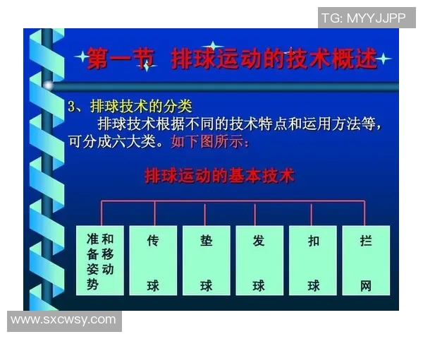 杭州排球队中路突破打法的专业分析与战术探讨